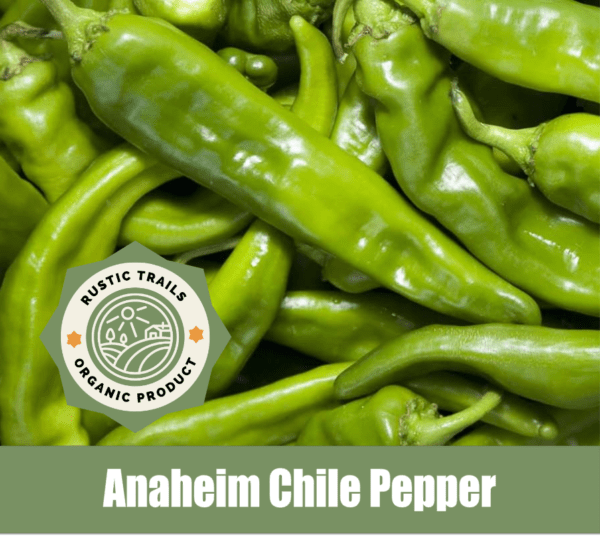 Anaheim Chile Pepper